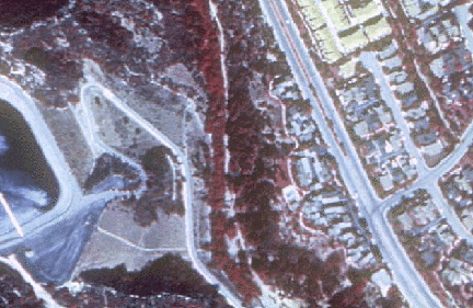 This image shows a portion of Topanga, California taken from a USGS DOQ.