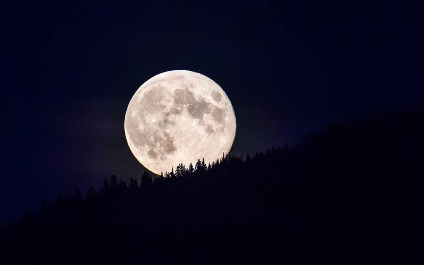 The full moon rises above the forested slope of a mountain in Glacier National Park in Montana, USA.